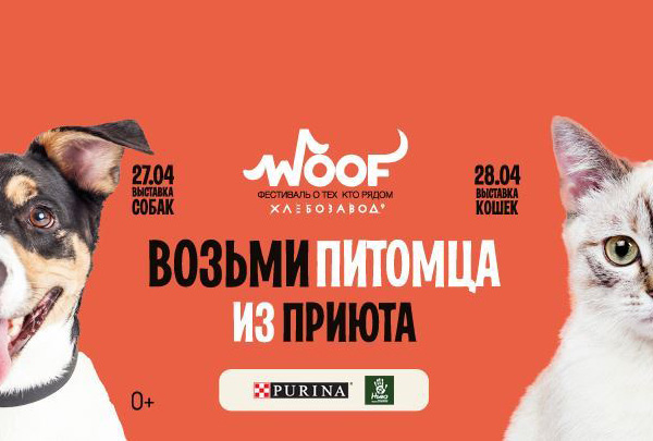 На фестивале Woof в Москве 350 животных будут ждать новых владельцев