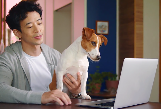 Интернет-магазин Petz пригласил собак заняться покупками онлайн