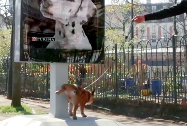 Purina установила в Париже билборды для определения состояния здоровья собак