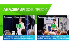 Начала работать онлайн-академия DOG-ПРОФИ
