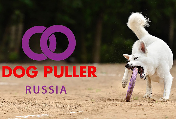 Объявлен состав сборной России на втором Чемпионате мира по Dog Puller