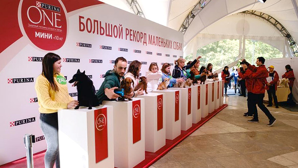 В Москве состоялась крупнейшая фотосессия собак в истории