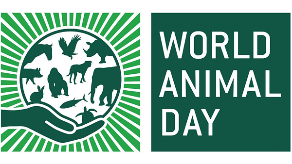Сегодня Всемирный день животных