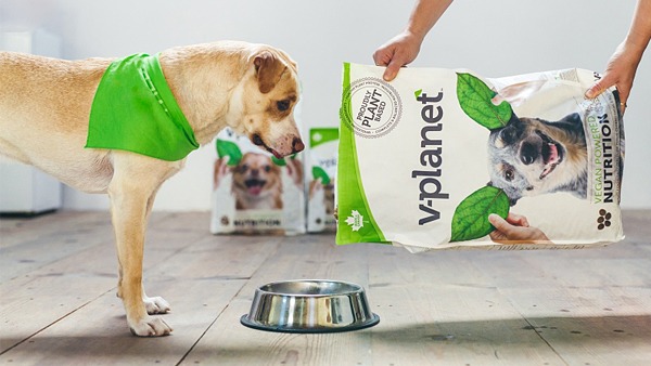 Веганские корма для собак начали продавать в Новой Зеландии