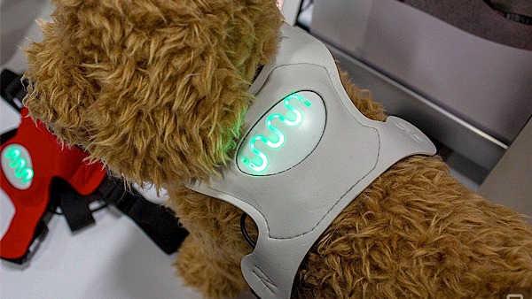 Японская компания разработала шлейку, показывающую настроение собаки