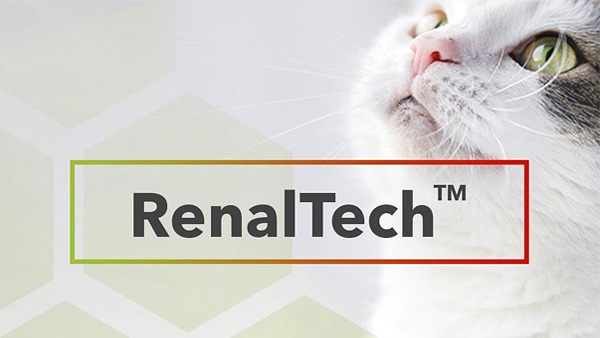 RenalTech от Mars Petcare стал лучшей новинкой 2019 года