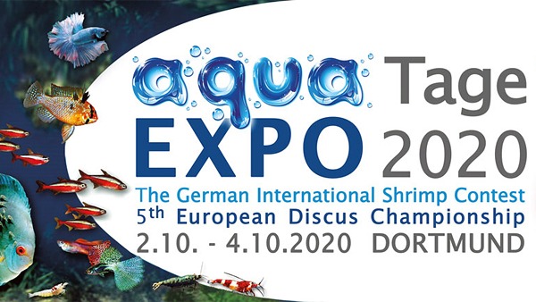В октябре состоится аквариумная выставка Aqua Expo