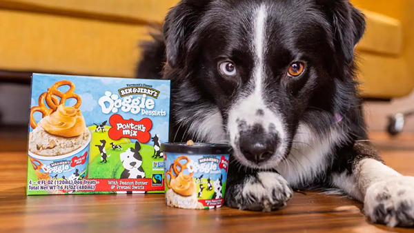 Люксовое мороженое Ben Jerrys теперь делают и для собак